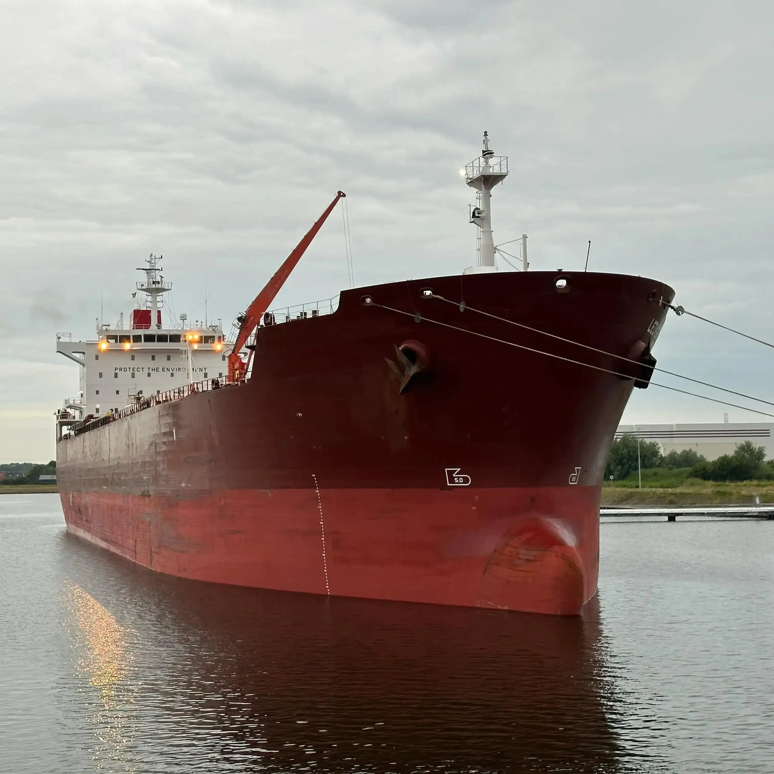 Inspections, Audits & Surveys